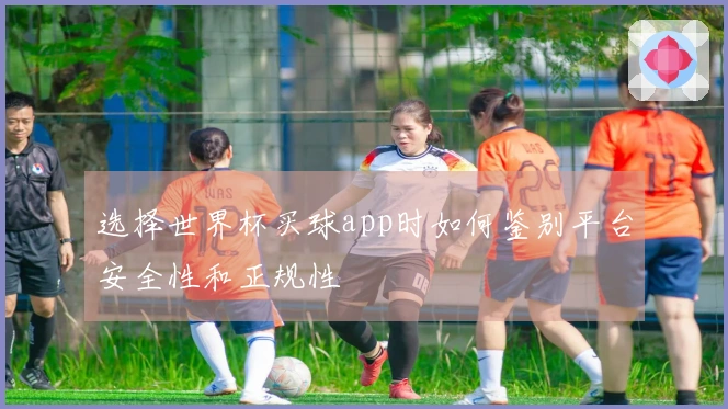 选择世界杯买球app时如何鉴别平台安全性和正规性