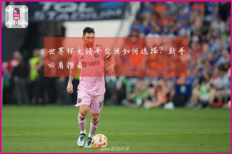 世界杯竞猜平台该如何选择？新手必看指南