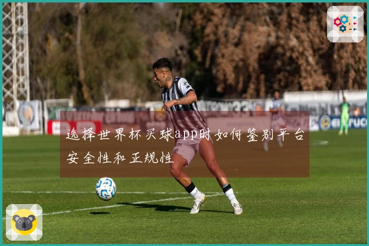 选择世界杯买球app时如何鉴别平台安全性和正规性